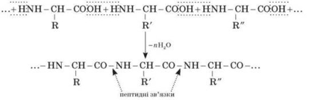 http://subject.com.ua/lesson/chemistry/11klas/11klas.files/image471.jpg